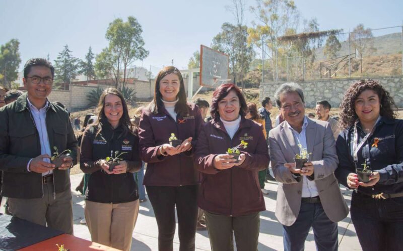 Mineral de la Reforma pone en marcha los ‘huertos escolares’