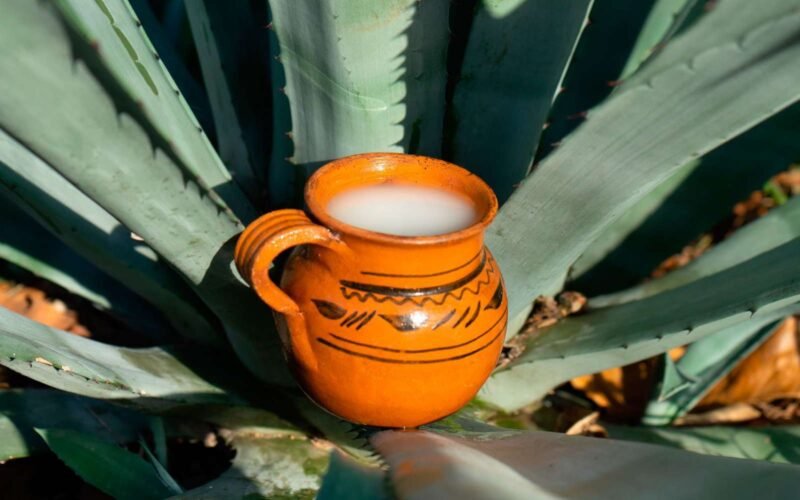 Singuilucan: resaltarán riqueza del maguey en evento cultural y gastronómico | Programa